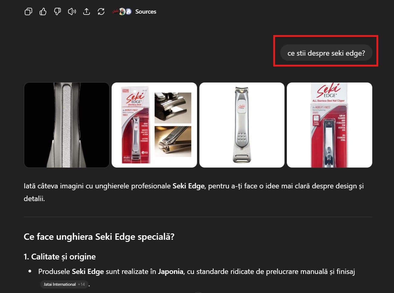 Cum îți indexezi site-ul în ChatGPT? 3 ce stii despre seki edte